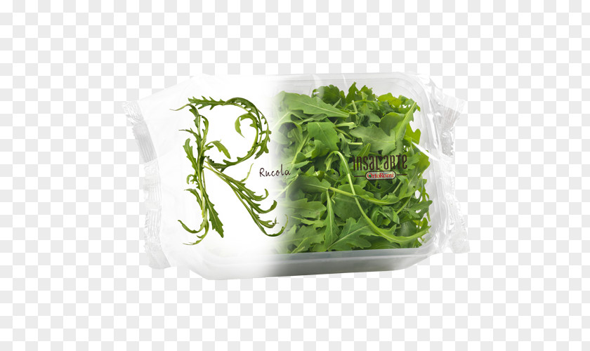 Salad Arugula Vegetable Fruit Spinach PNG