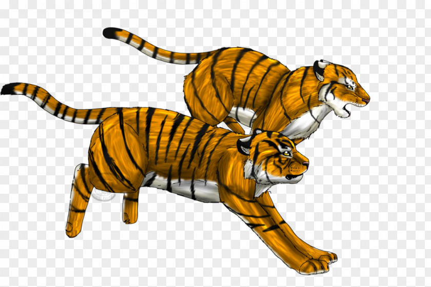 Tiger Running Cheetah Leopard Animation PNG