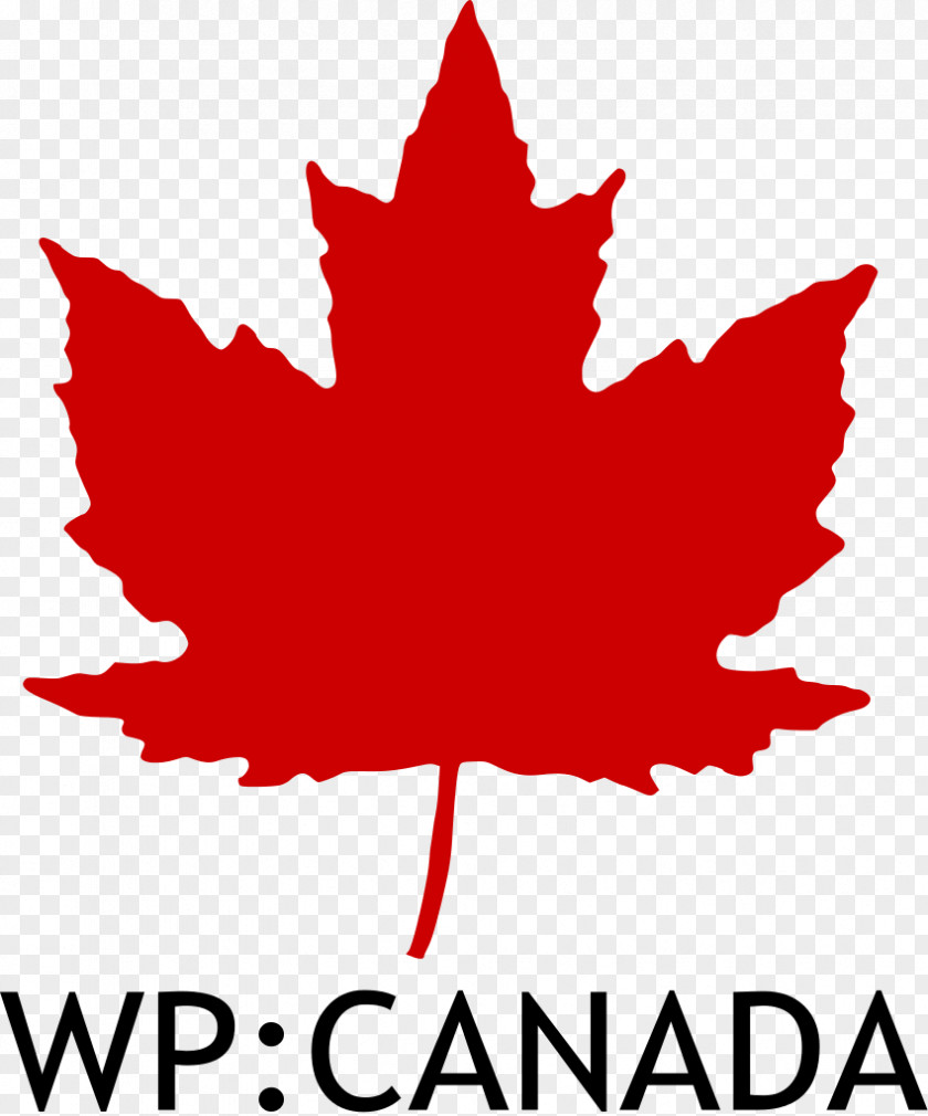 Canada Canadair Sabre Royal Canadian Air Force Roundel PNG