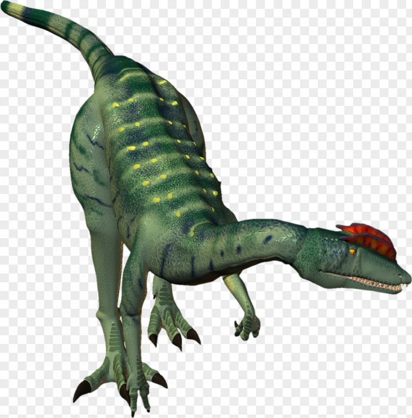 Dinosaurs Velociraptor Tyrannosaurus Reptile Bird Dinosaur PNG