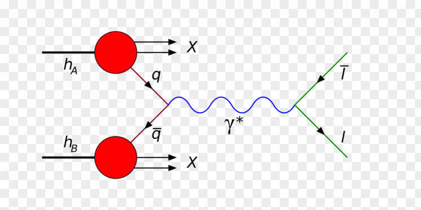 Drell–Yan Process Quark Hadron Lepton Wikipedia PNG