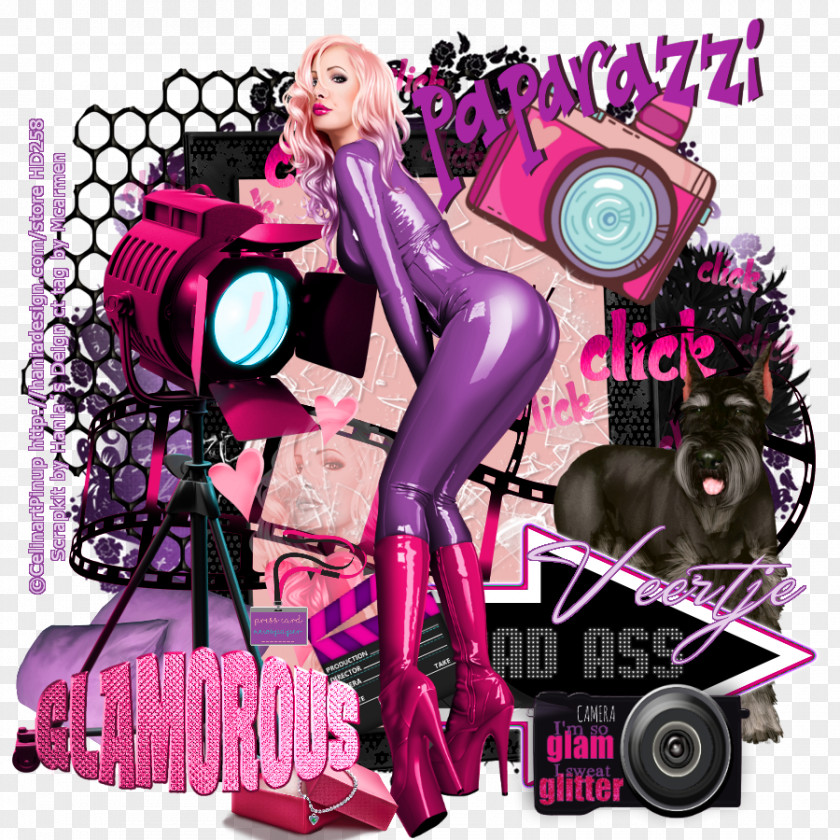 Paparazzi Album Cover Pink M PNG