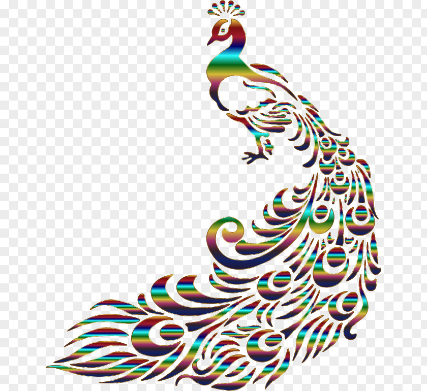Peacock Line Art Drawing Peafowl Clip PNG