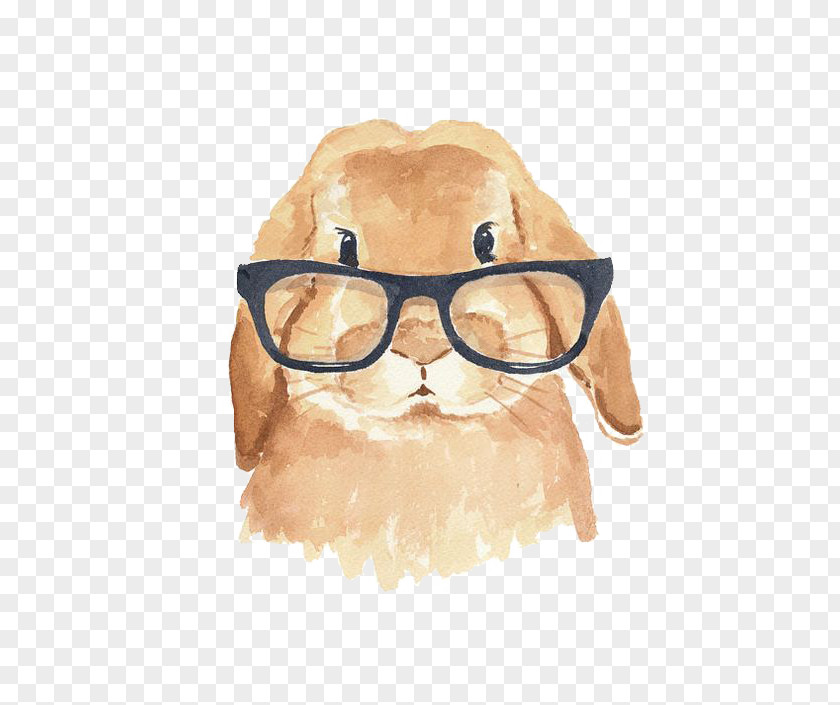 Rabbit Holland Lop The Rhyming Hipster PNG