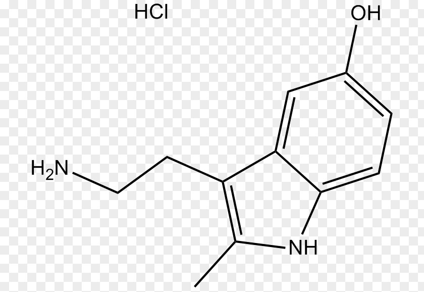 5ht3 Receptor Nevirapine Erfðaefni Organism Biochemistry Nucleic Acid PNG