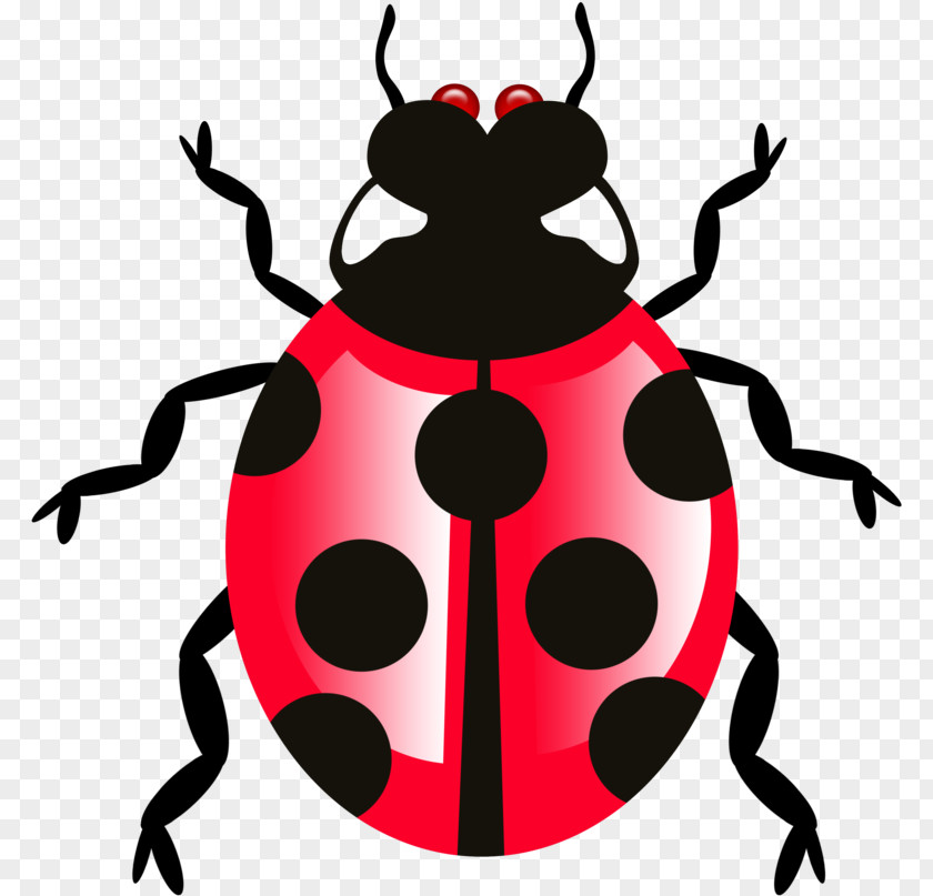 Pest Ladybug PNG