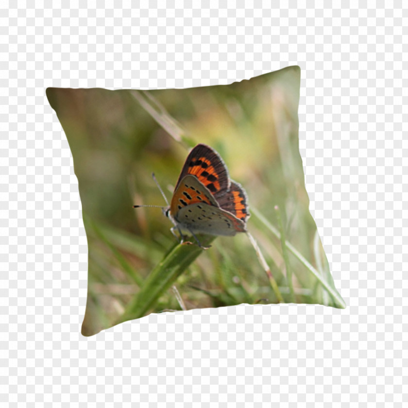 Small Butterfly Insect Pollinator Nymphalidae Cushion PNG
