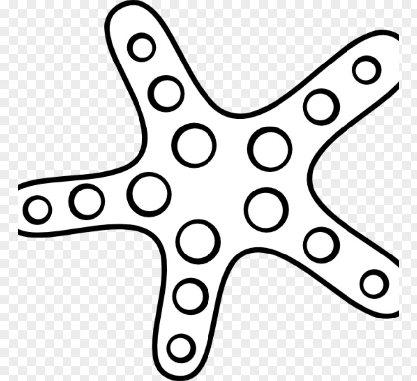 Starfish Clip Art Image Openclipart Vector Graphics Free Content PNG