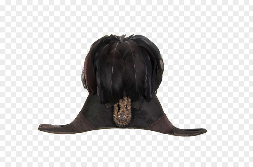 Black Feather Hat Designer PNG