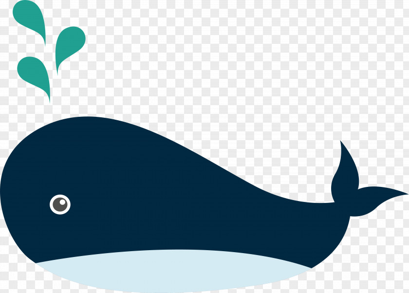 Cartoon Whale Design Marine Biology Animal PNG