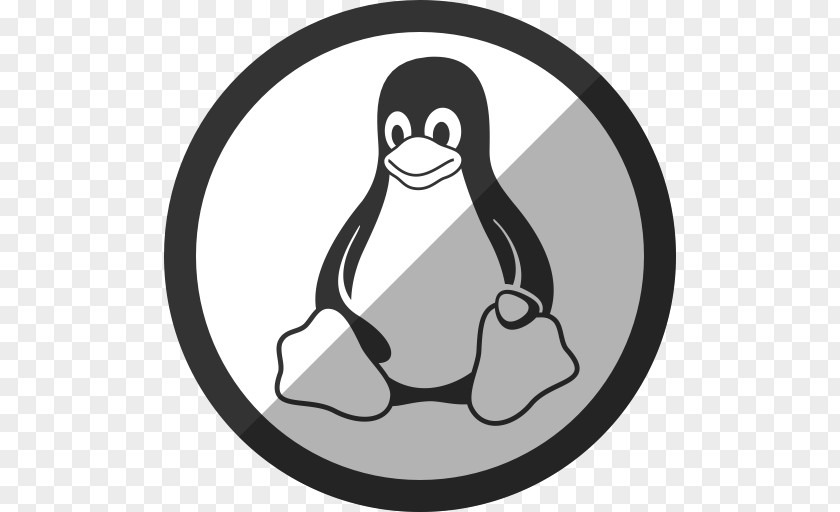 Kdenlive Linux Kernel Tux Operating Systems PNG