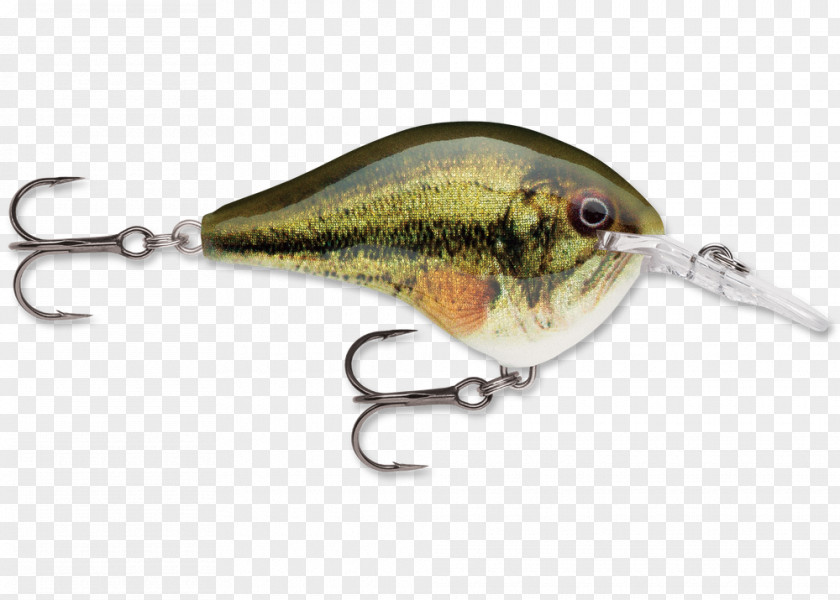 Large Mouth Bass Rapala Fishing Baits & Lures Bait Fish PNG