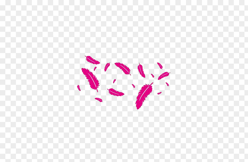 Pink Feather The Floating Bird PNG