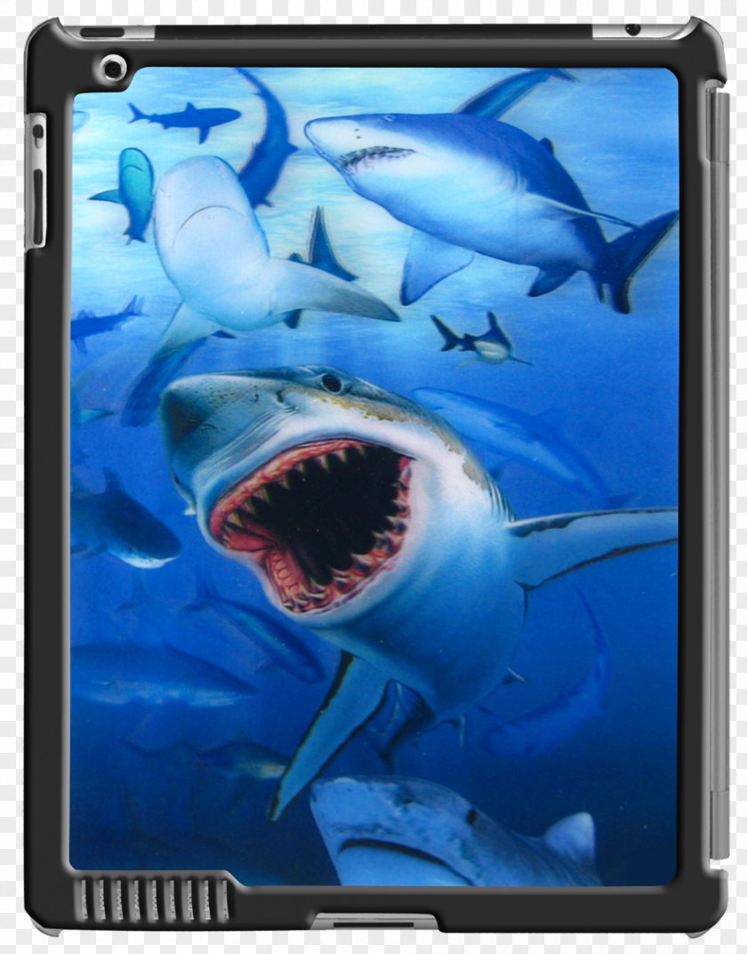 Shark 3d Great White IPad 3 2 Lenticular Printing Lens PNG