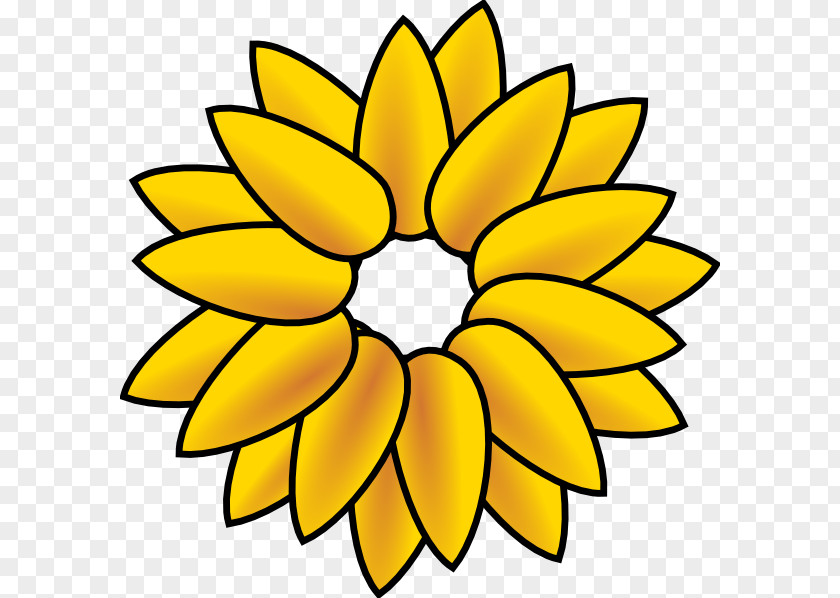 Small Daisy Common Sunflower Clip Art PNG