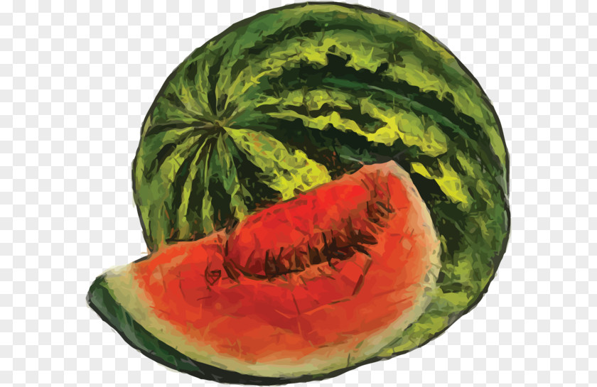 Watermelon Watercolor Painting Fruit PNG