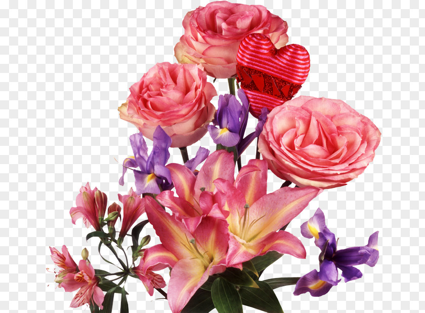 Rose Garden Roses Pink Cut Flowers PNG