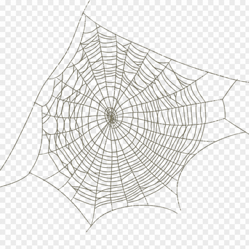 Spider Web Pattern Image Drawing PNG