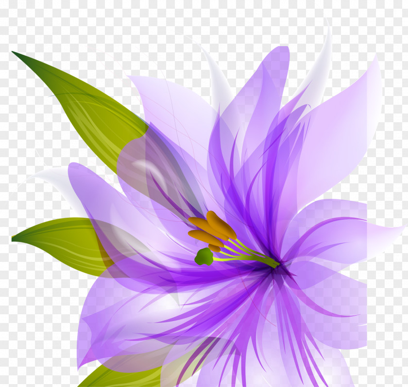 Water Lilies Desktop Wallpaper Flower Purple Blue Clip Art PNG