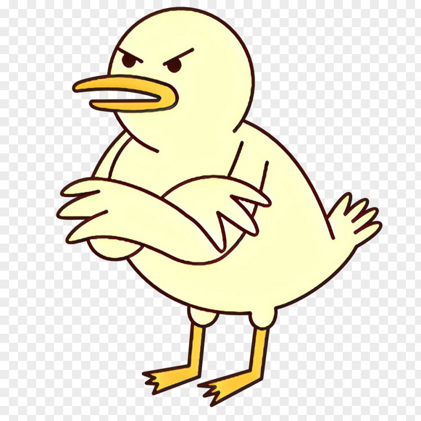 Duck Swans Goose Clip Art Beak PNG