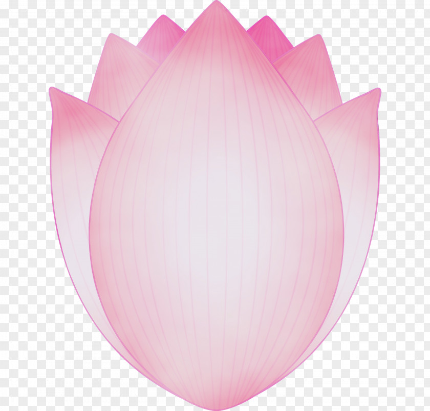 Pink Petal Tulip Plant Flower PNG