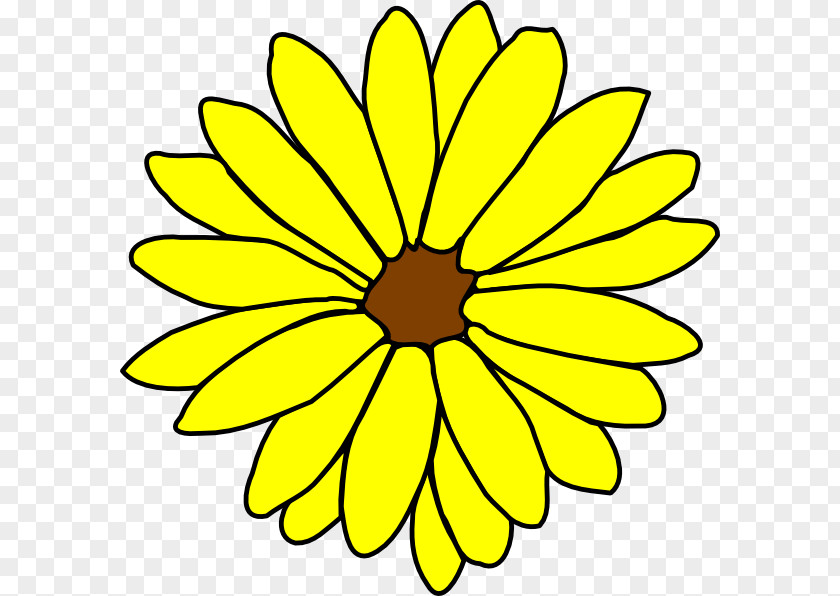 Sun Flower Drawing Clip Art PNG