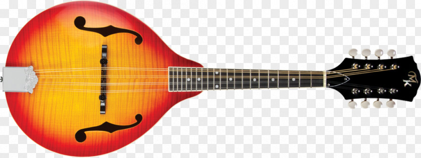 Acoustic Guitar Electric Tiple Cuatro Mandolin PNG