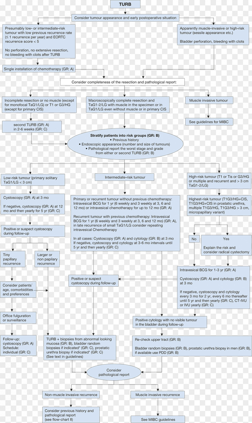 Bladder Cancer Document Line Angle PNG