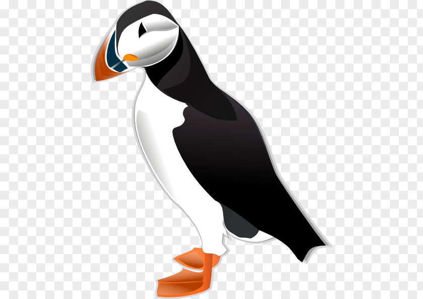 Puffin Cliparts Atlantic Horned Tufted Clip Art PNG