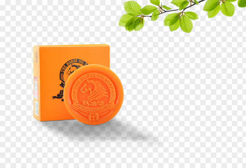 Tianqi Horse Oil Soap Murphy PNG