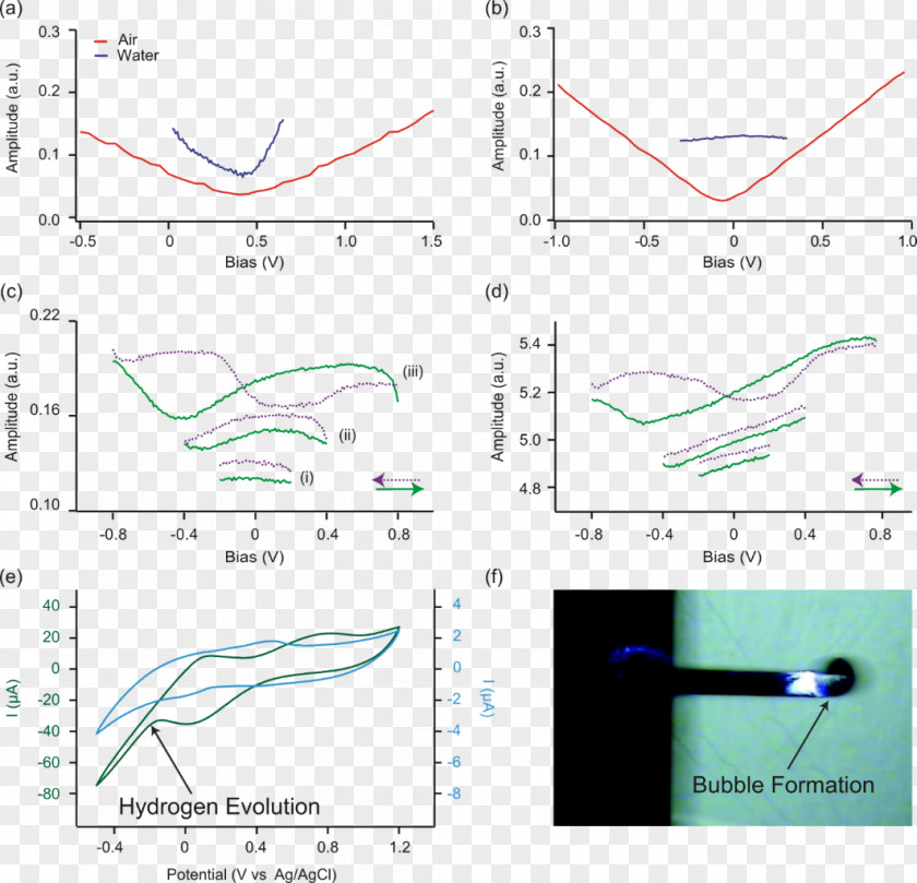 University College Dublin Piezoresponse Force Microscopy Oak Ridge National Laboratory Atomic Scanning Capacitance PNG