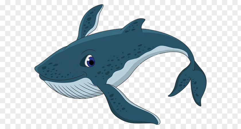 Whale Blue PNG