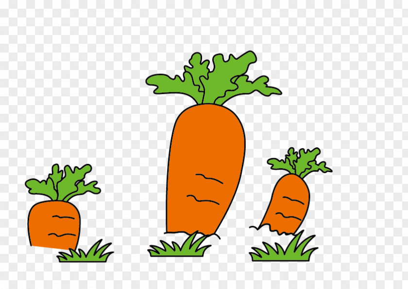 Carrot Rabbit Radish Creative Work Painting Illustration PNG
