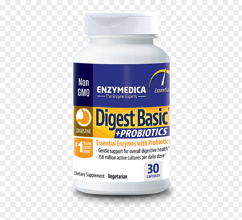 Digestion Digestive Enzyme Probiotic Food PNG