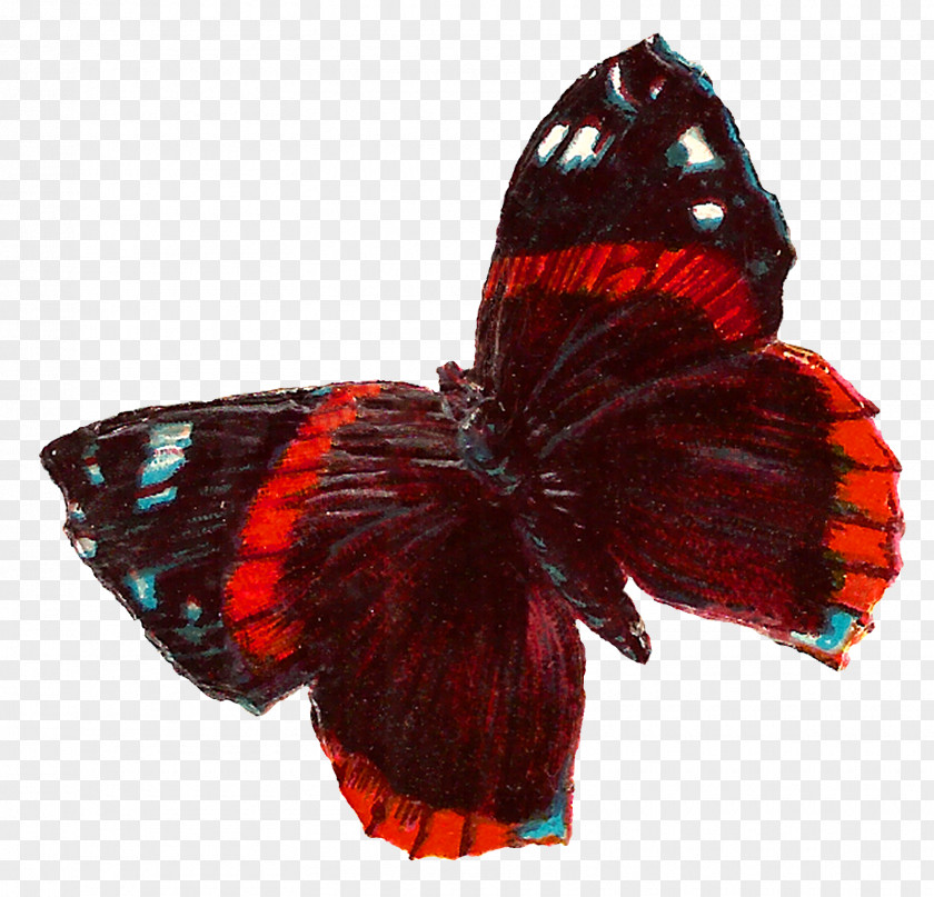Red Butterfly Insect Clip Art PNG