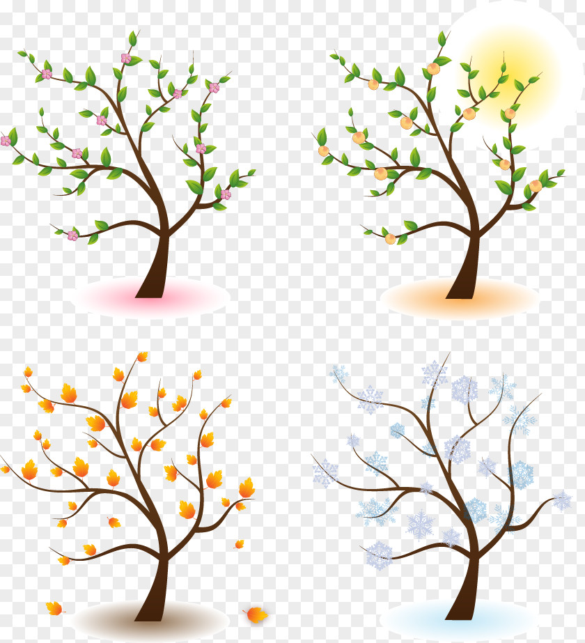 Vector Four Seasons Blooms Season Tree Clip Art PNG