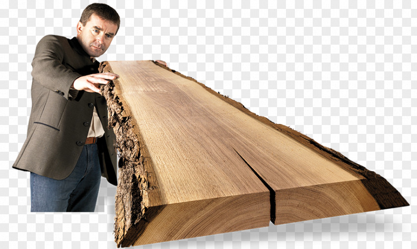 Brilliant Wood Schnittholz Building Materials Medium-density Fibreboard Platten-pastl Gesellschaft M.b.h. & Co KG PNG