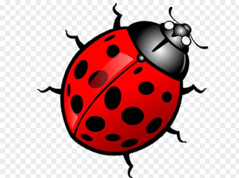 Cartoon Ladybugs Ladybird Clip Art PNG