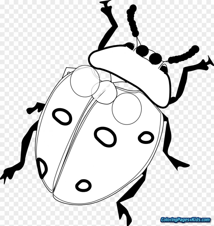 Chiffon Clip Art Vector Graphics Drawing Ladybird Beetle Illustration PNG