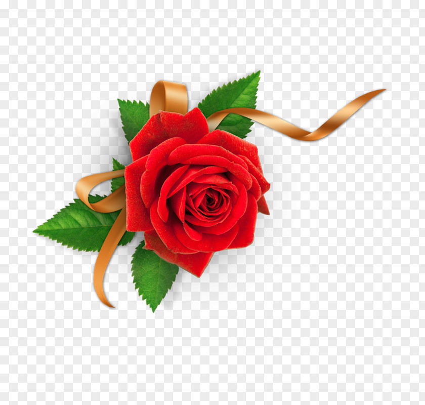 God Garden Roses Names Of In Islam Flower Allah PNG