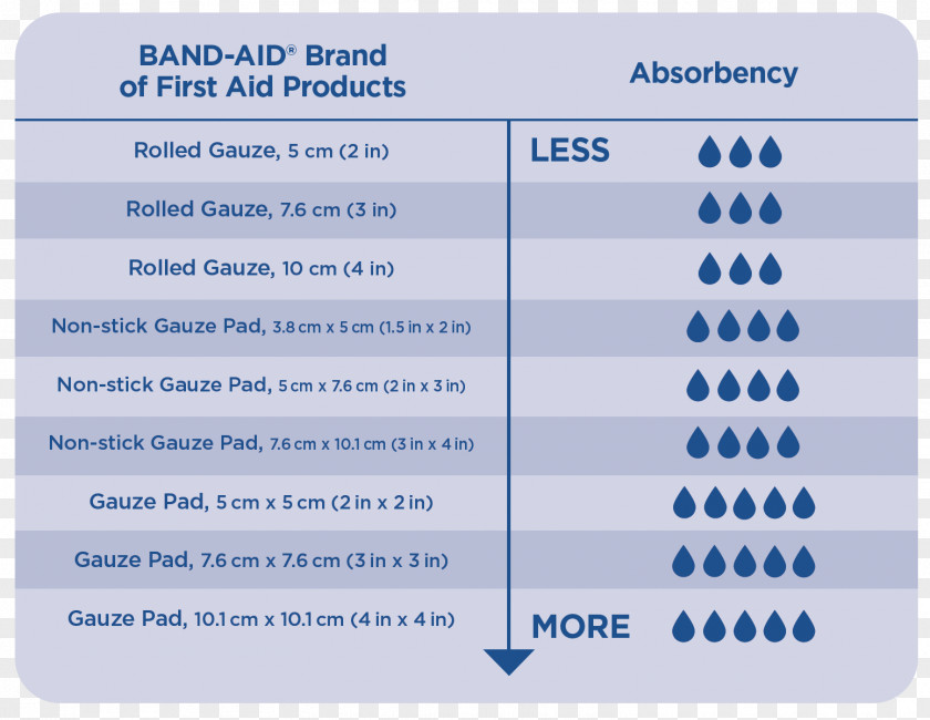 Line Organization Document Brand PNG