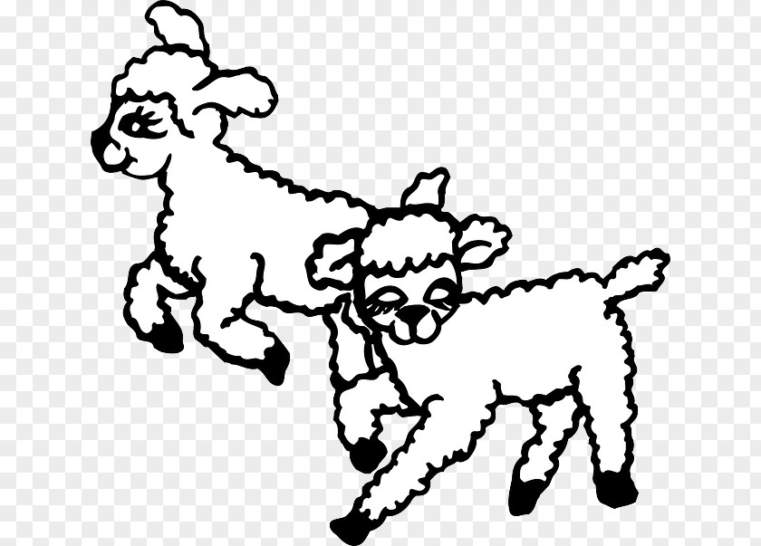 Blackhead Persian Sheep Livestock Clip Art PNG