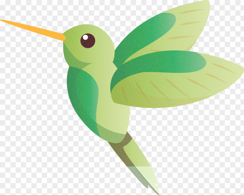 Hummingbirds Birds Cell Membrane Eukaryote Beak PNG