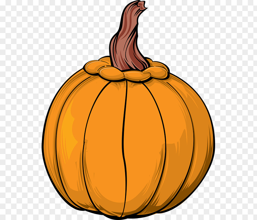 Pumpkin Vector Graphics Clip Art Image PNG