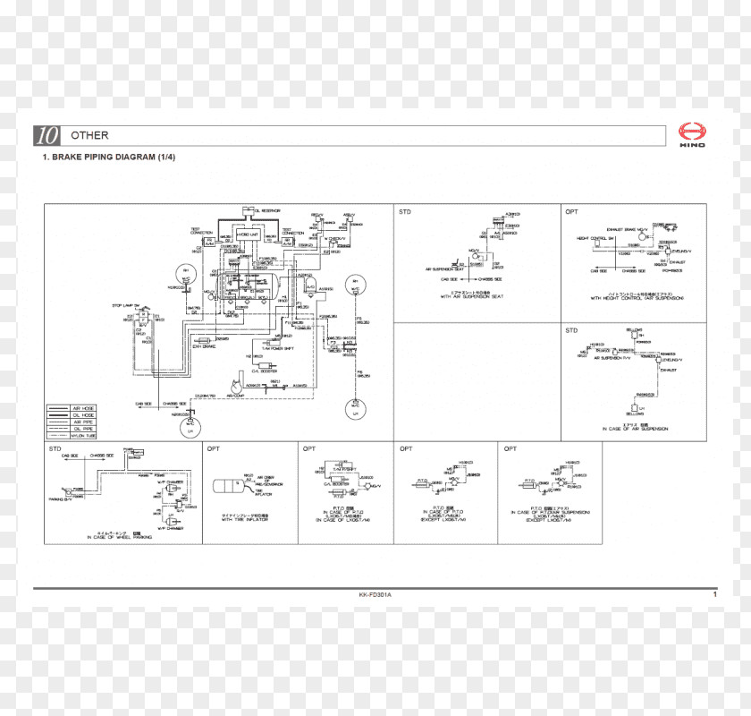 Anatomical Map Of Toothache Repair Hino Motors Car Wiring Diagram Schematic PNG