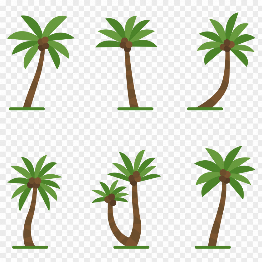 Big Tree Coconut Oil Palm Trees Image Clip Art PNG