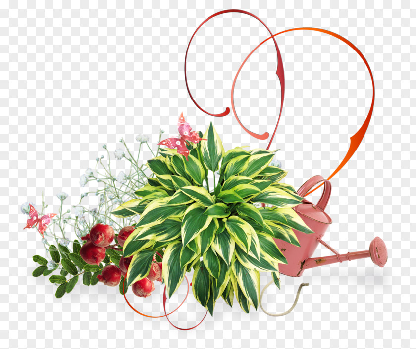 Flower Floral Design Green Plant PNG