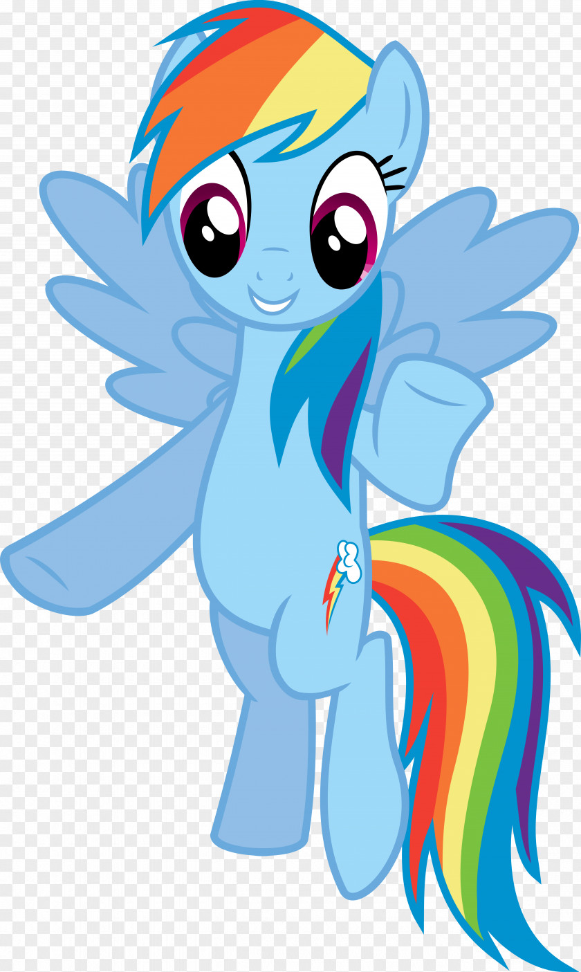 Rainbow My Little Pony Dash Fluttershy PNG