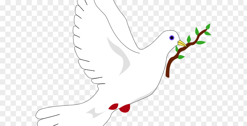 Symbol Columbidae Peace Symbols Doves As Olive Branch PNG