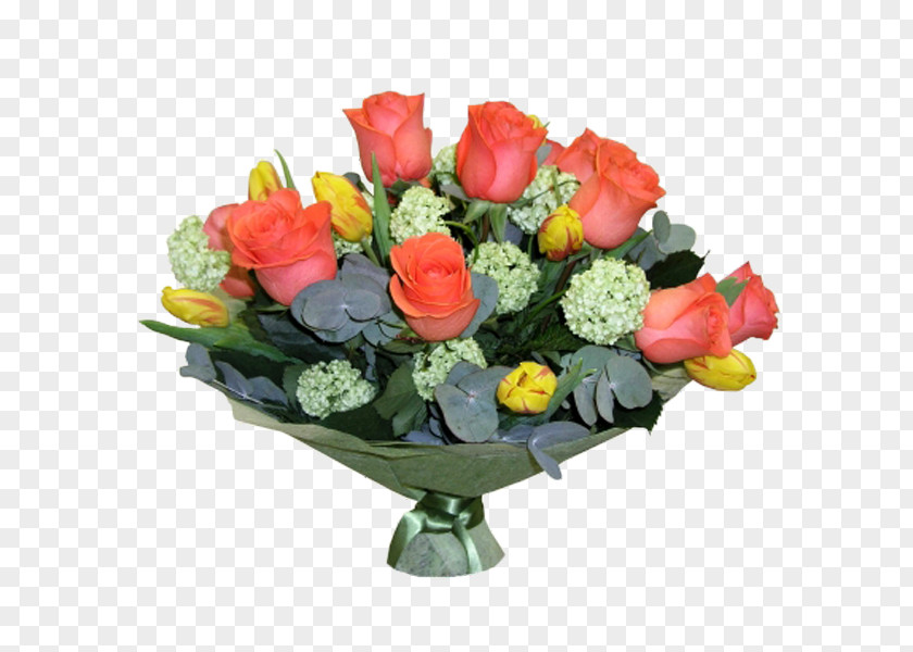 Tulip Material Garden Roses Flower Bouquet Cut Flowers Coral PNG